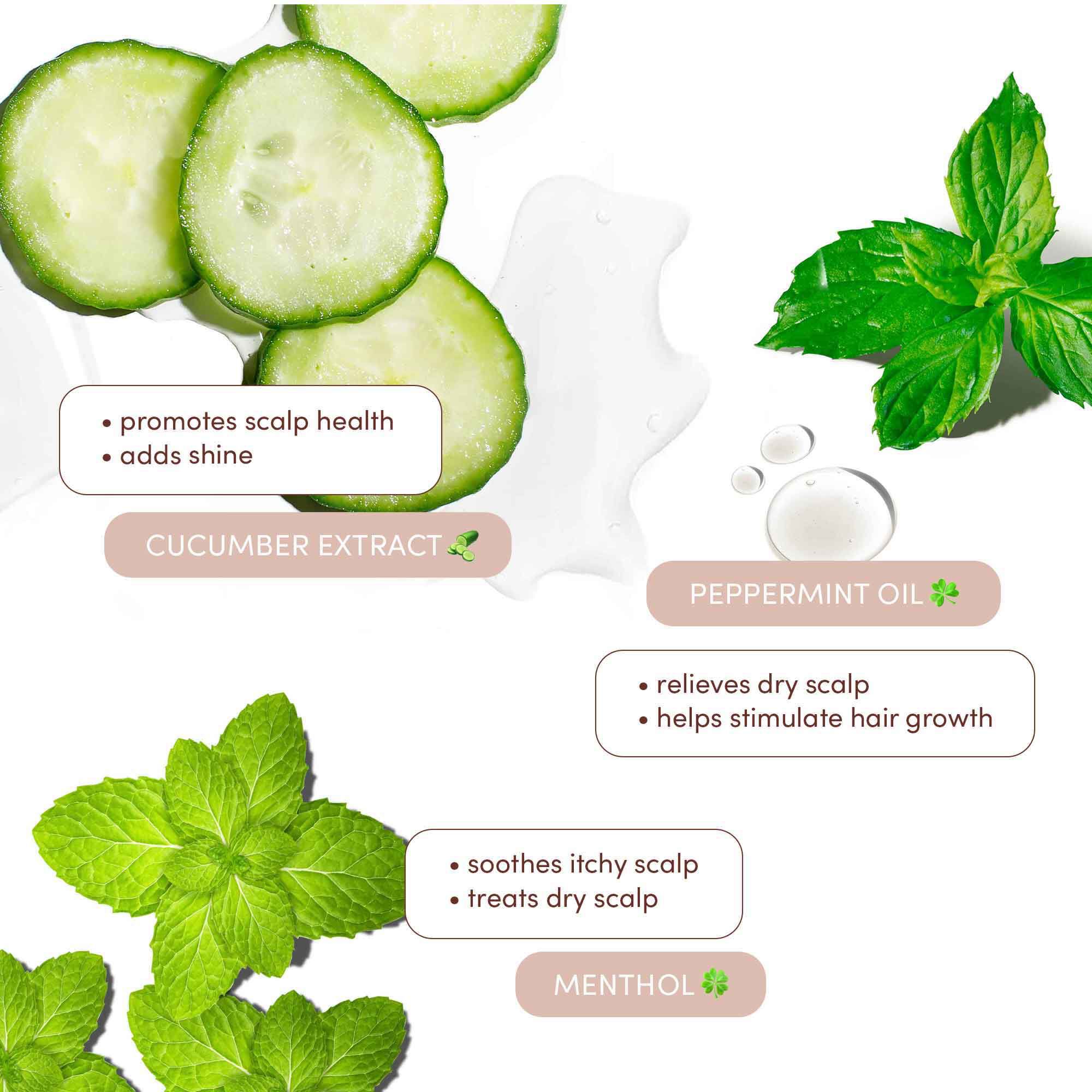 Scalp Care Hydrating Shampoo