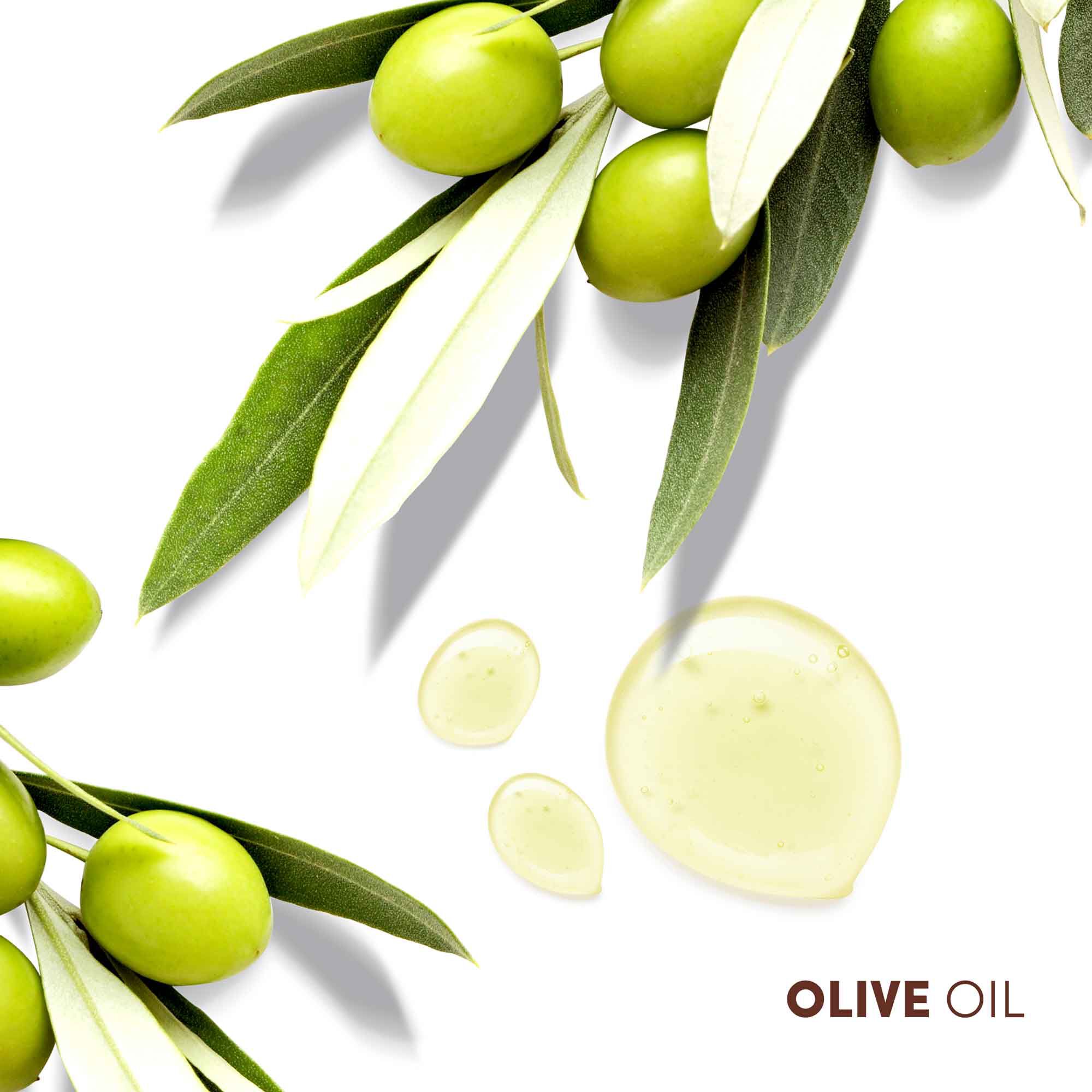 True Textures Moisture Replenish Shampoo